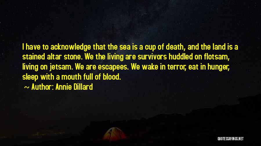 Stone And Sea Quotes By Annie Dillard