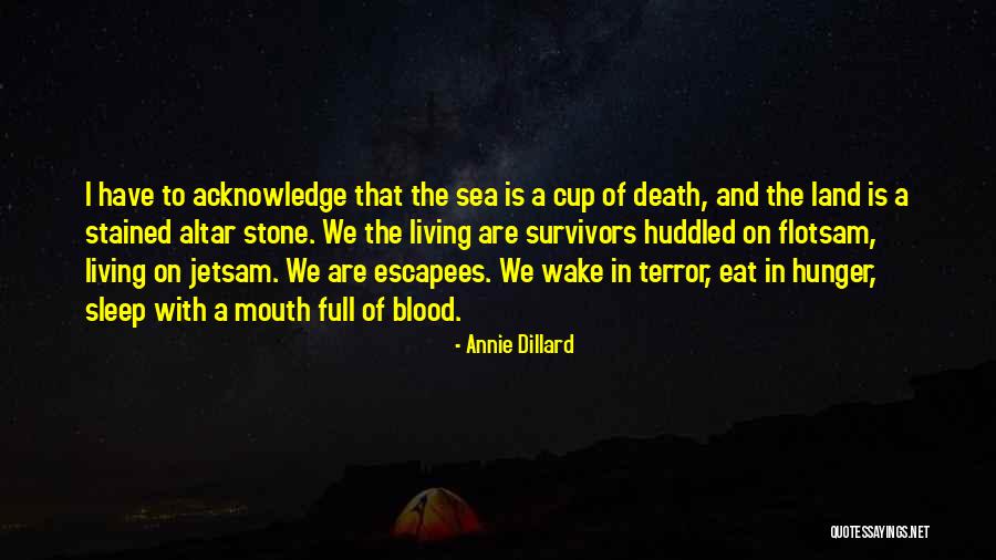 Stone And Sea Quotes By Annie Dillard