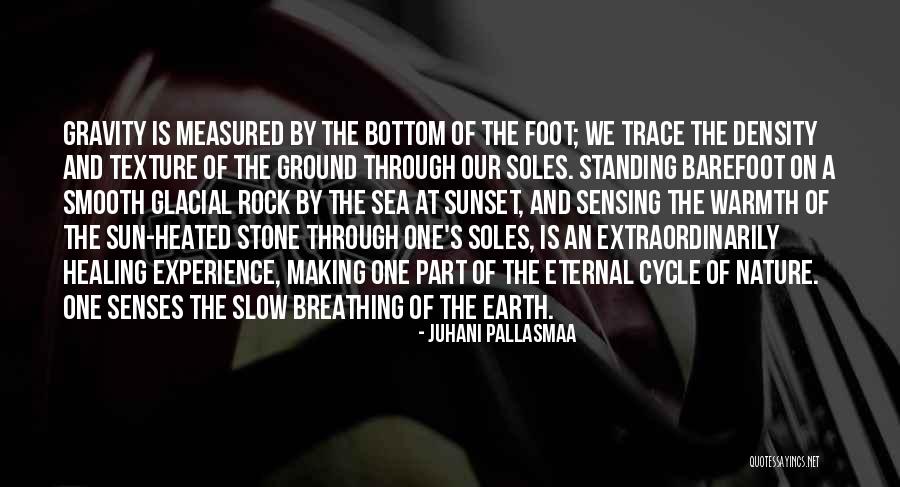 Stone And Sea Quotes By Juhani Pallasmaa Stone And Sea Quotes By Juhani Pallasmaa