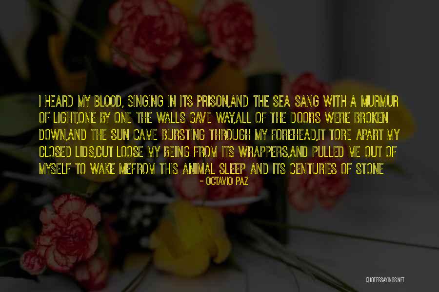 Stone And Sea Quotes By Octavio Paz Stone And Sea Quotes By Octavio Paz