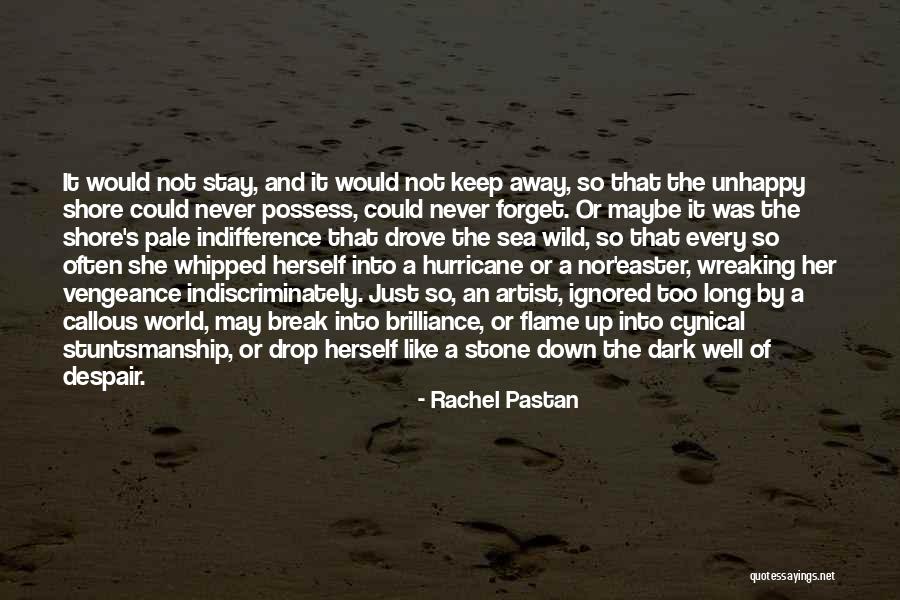 Stone And Sea Quotes By Rachel Pastan