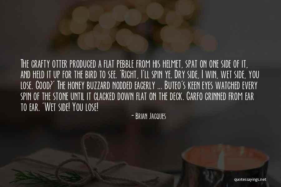 Stone Bird Quotes By Brian Jacques Stone Bird Quotes By Brian Jacques