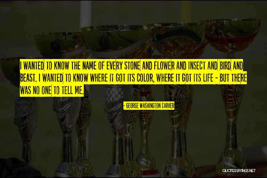 Stone Bird Quotes By George Washington Carver Stone Bird Quotes By George Washington Carver