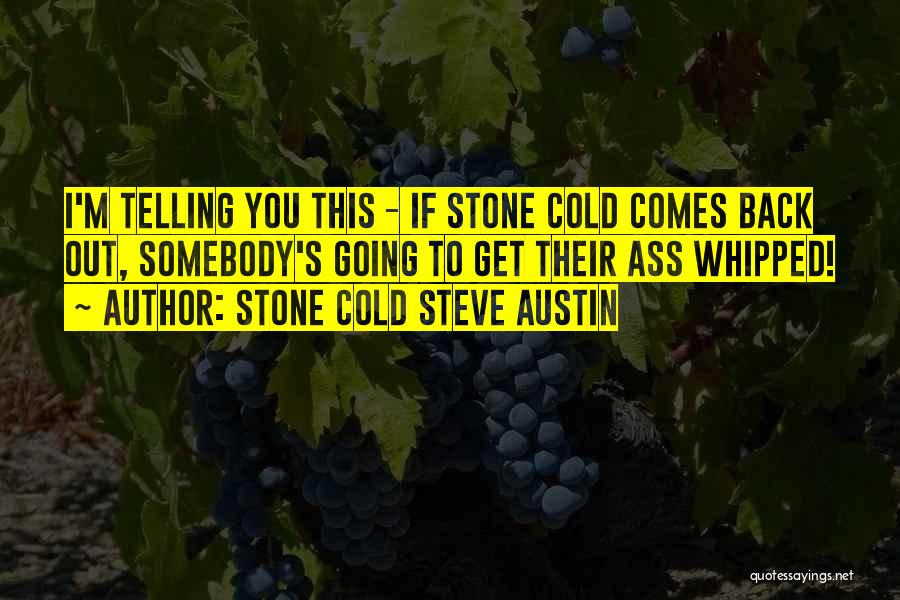 Stone Cold Austin Quotes By Stone Cold Steve Austin