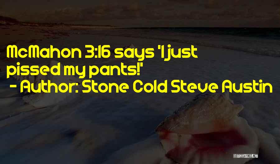 Stone Cold Austin Quotes By Stone Cold Steve Austin