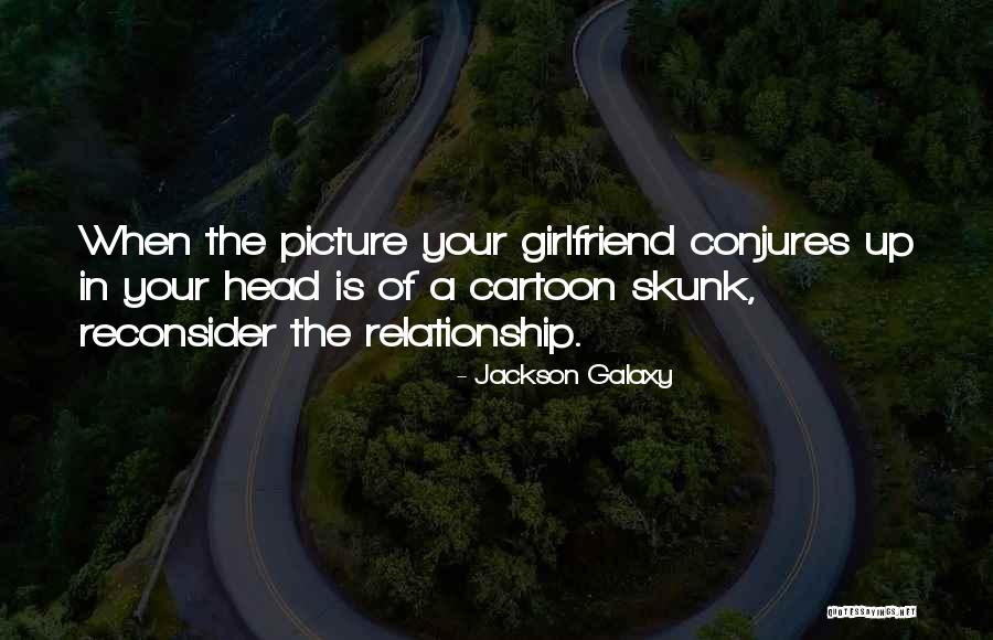 Stone Cold Motivational Quotes By Jackson Galaxy Stone Cold Motivational Quotes By Jackson Galaxy