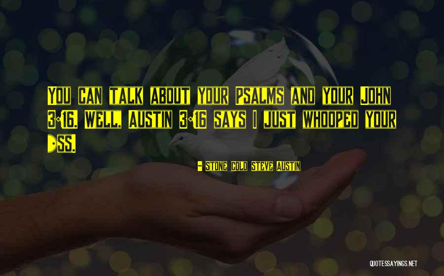 Stone Cold Steve Austin Quotes 1084726 Stone Cold Steve Austin Quotes 1084726