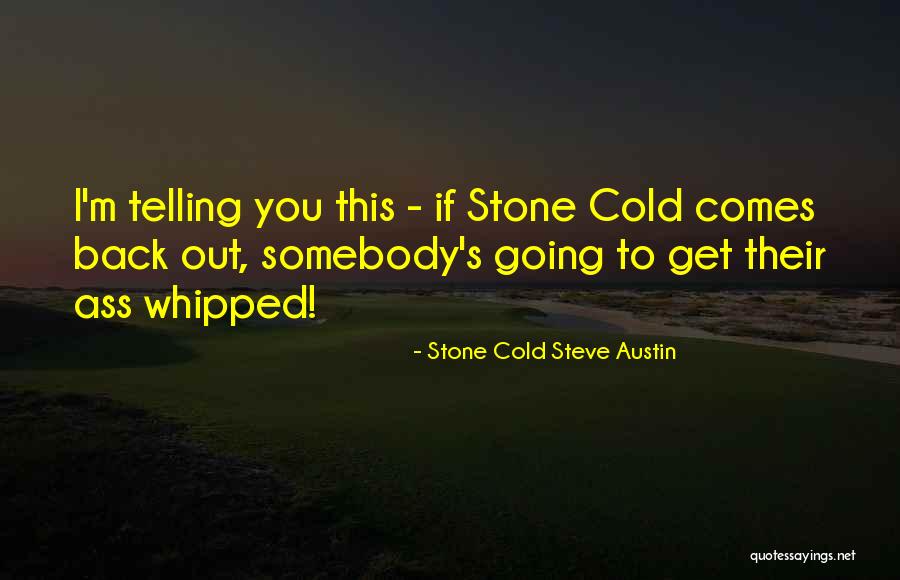 Stone Cold Steve Austin Quotes 1293598