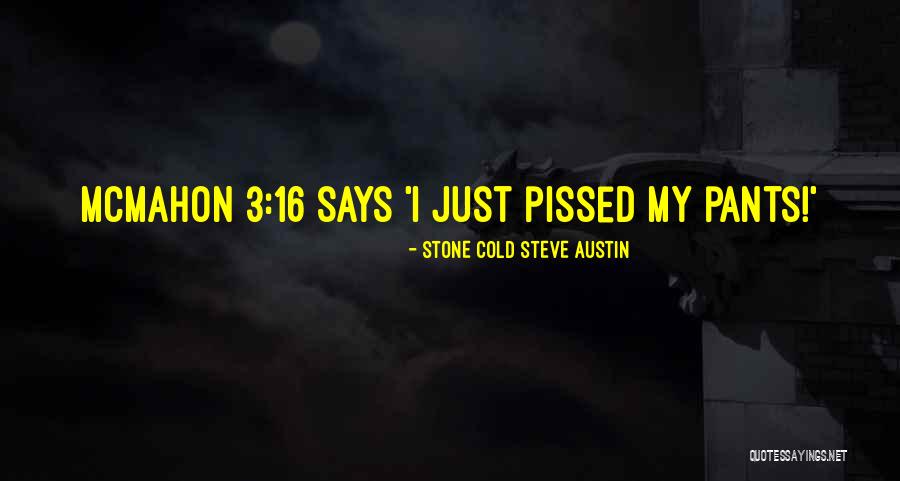 Stone Cold Steve Austin Quotes 476316