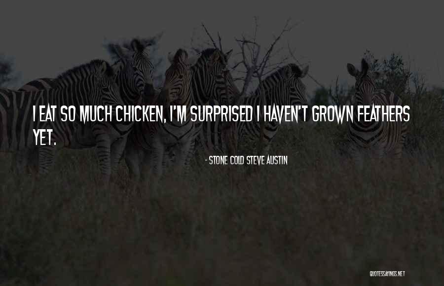 Stone Cold Steve Austin Quotes 640369 Stone Cold Steve Austin Quotes 640369