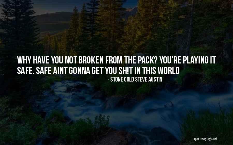 Stone Cold Steve Austin Quotes 77731 Stone Cold Steve Austin Quotes 77731