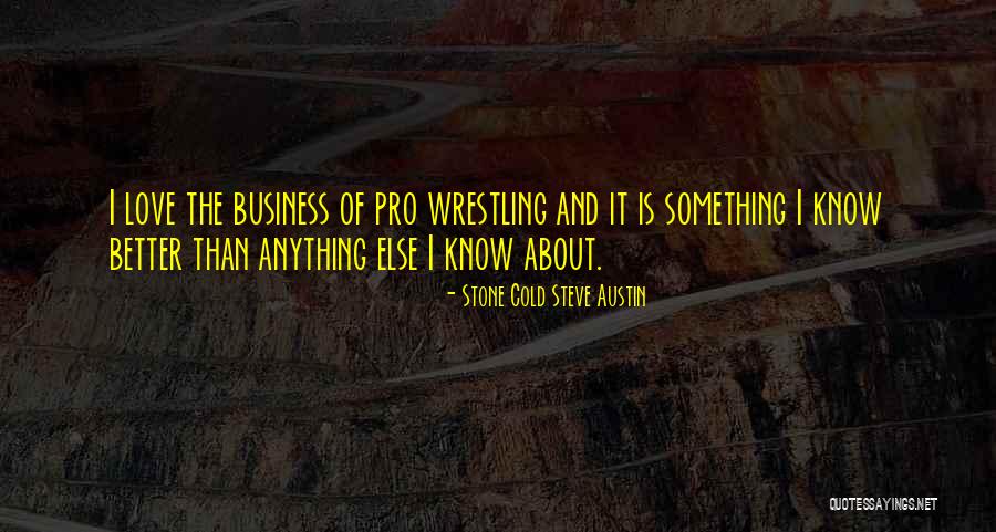 Stone Cold Steve Austin Quotes 961370