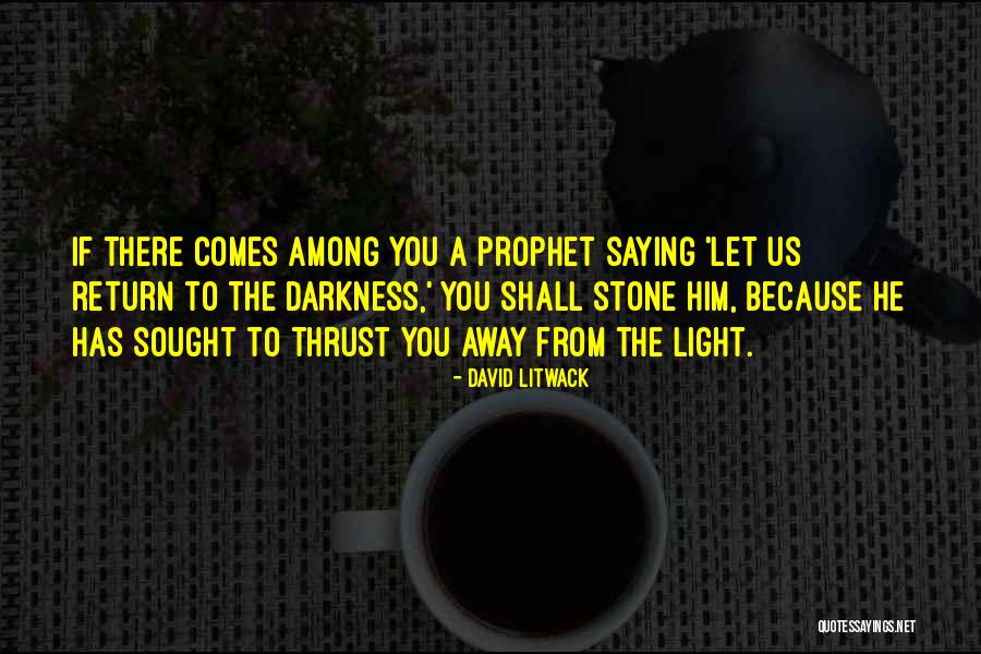 Stone From Quotes By David Litwack Stone From Quotes By David Litwack