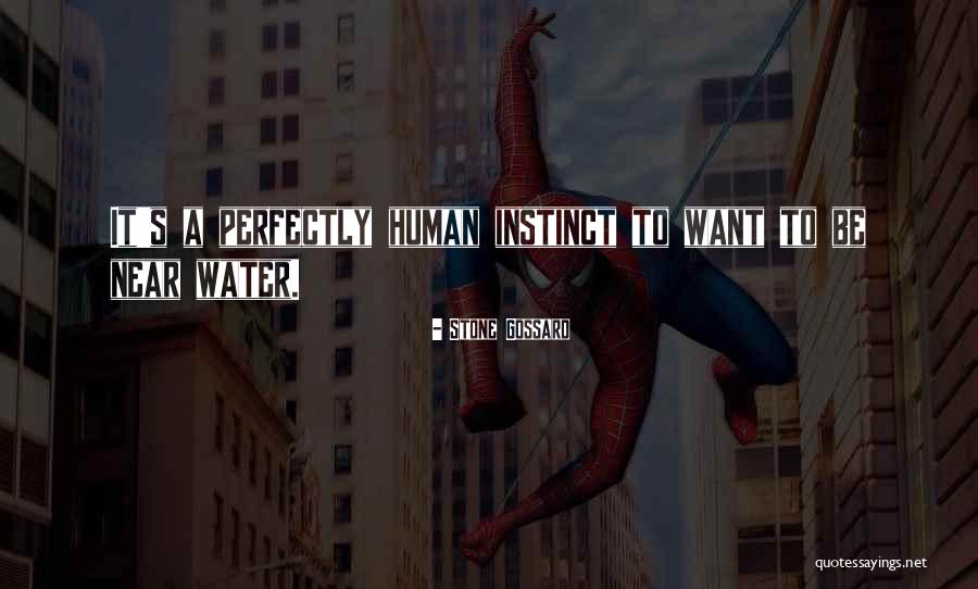 Stone Gossard Quotes 1312140 Stone Gossard Quotes 1312140