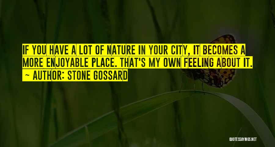 Stone Gossard Quotes 305275