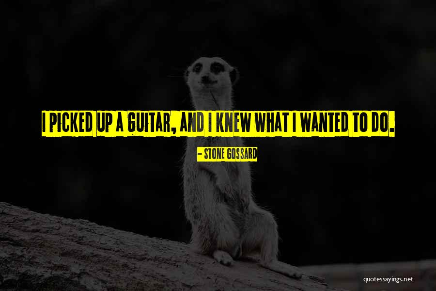 Stone Gossard Quotes 661945 Stone Gossard Quotes 661945