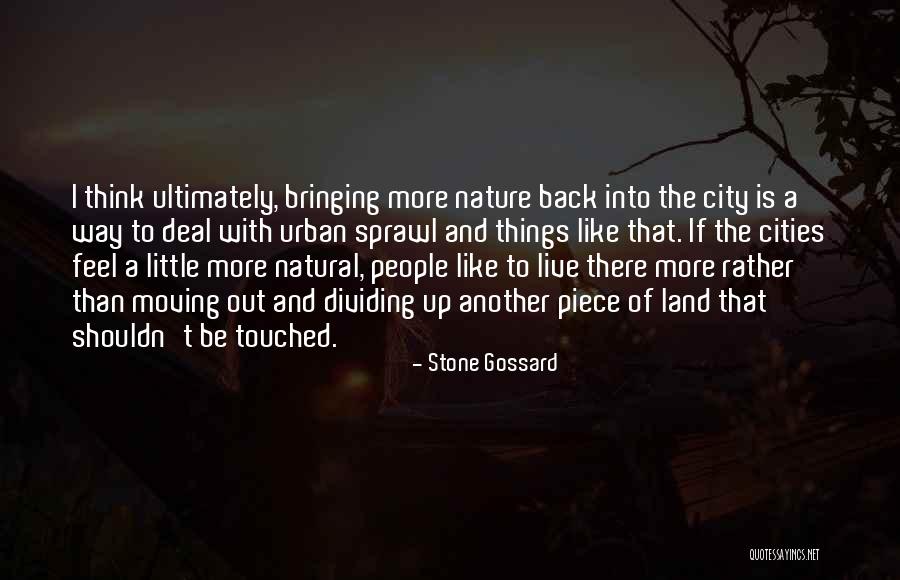 Stone Gossard Quotes 949504