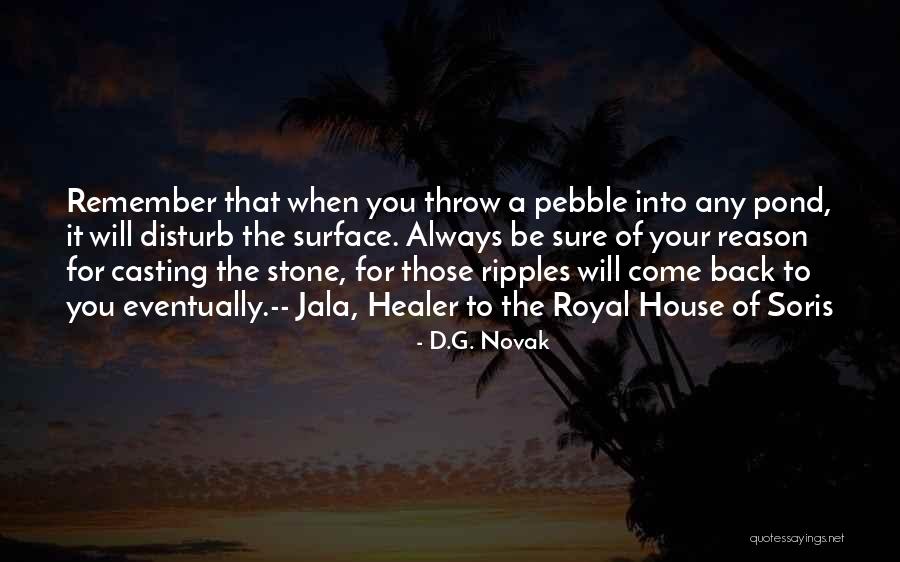 Stone House Quotes By D.G. Novak