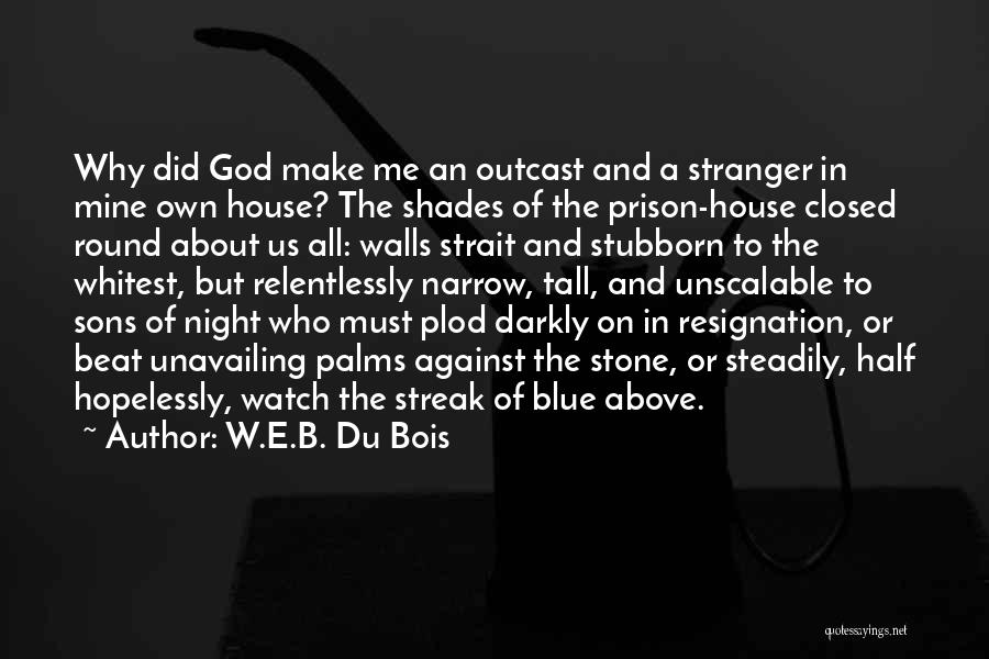 Stone House Quotes By W.E.B. Du Bois