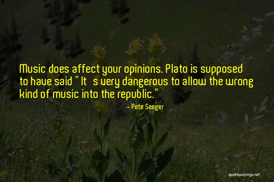 Stone Like Flooring Quotes By Pete Seeger Stone Like Flooring Quotes By Pete Seeger