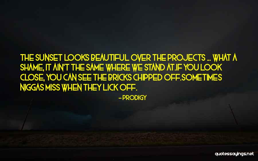 Stone Like Flooring Quotes By Prodigy Stone Like Flooring Quotes By Prodigy