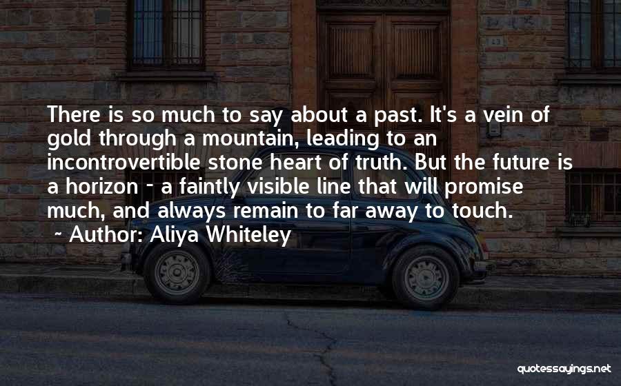 Stone Mountain Quotes By Aliya Whiteley
