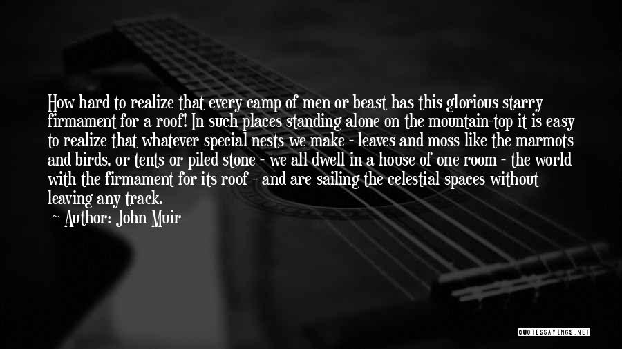 Stone Mountain Quotes By John Muir