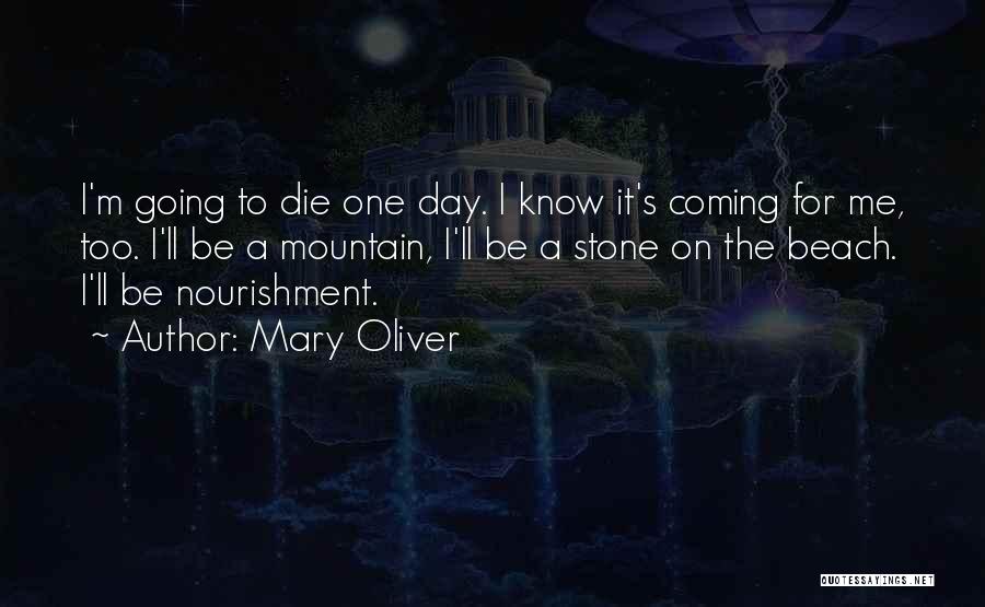 Stone Mountain Quotes By Mary Oliver
