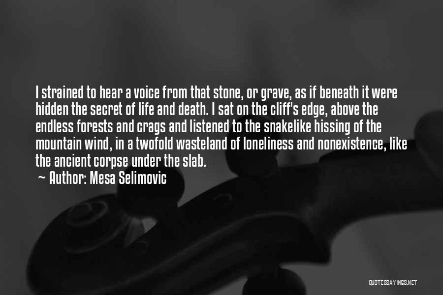 Stone Mountain Quotes By Mesa Selimovic