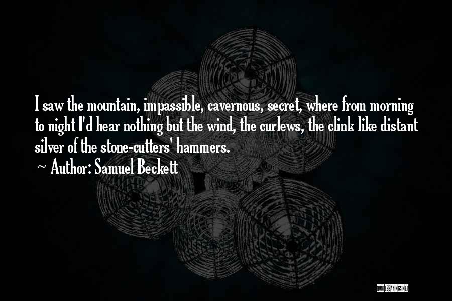 Stone Mountain Quotes By Samuel Beckett