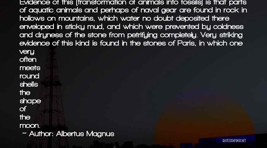 Stone Rock Quotes By Albertus Magnus