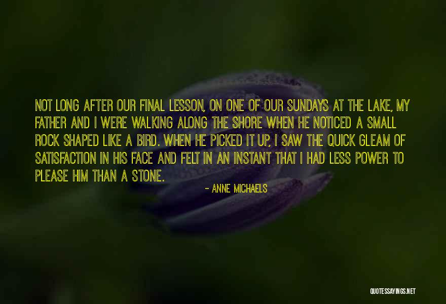 Stone Rock Quotes By Anne Michaels