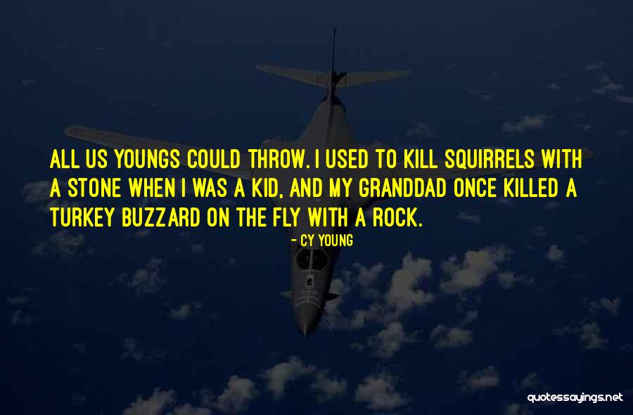 Stone Rock Quotes By Cy Young Stone Rock Quotes By Cy Young
