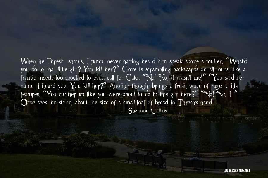 Stone Rock Quotes By Suzanne Collins