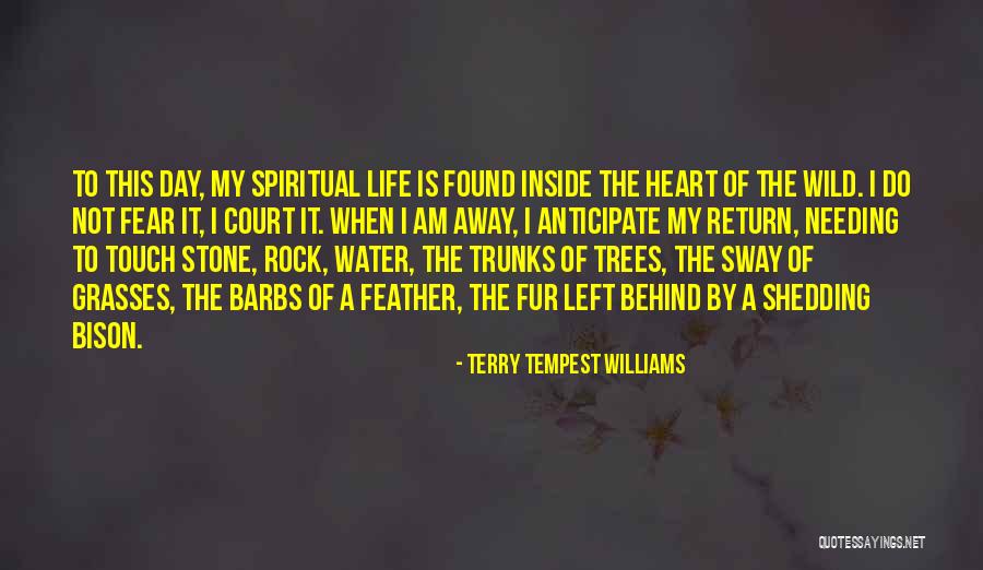 Stone Rock Quotes By Terry Tempest Williams