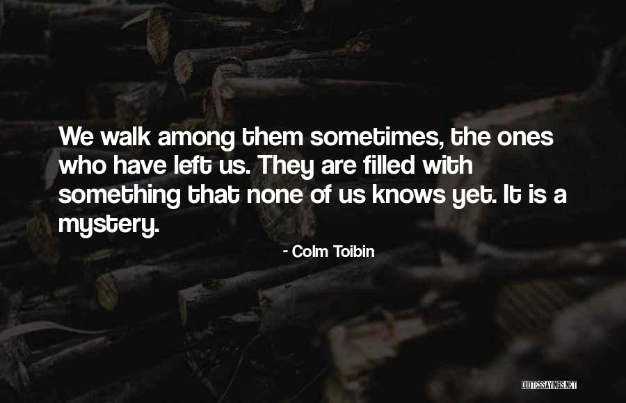 Stonehouse Elementary Quotes By Colm Toibin Stonehouse Elementary Quotes By Colm Toibin