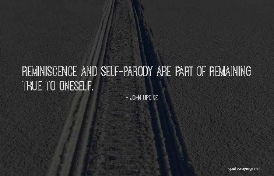Stonelees Quotes By John Updike Stonelees Quotes By John Updike