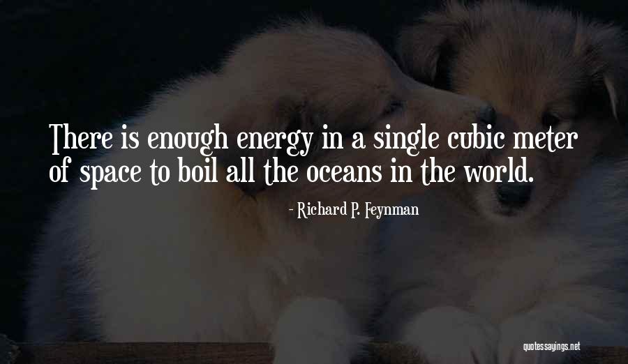 Stonem Quotes By Richard P. Feynman Stonem Quotes By Richard P. Feynman