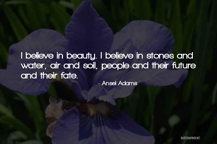 Stones And Beauty Quotes By Ansel Adams Stones And Beauty Quotes By Ansel Adams