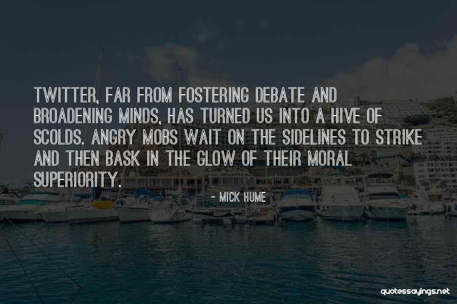Stones And Beauty Quotes By Mick Hume Stones And Beauty Quotes By Mick Hume