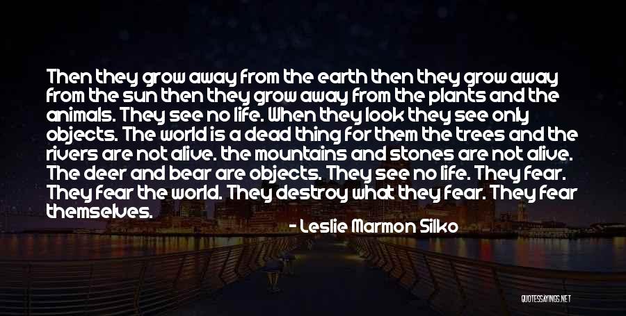 Stones And Life Quotes By Leslie Marmon Silko