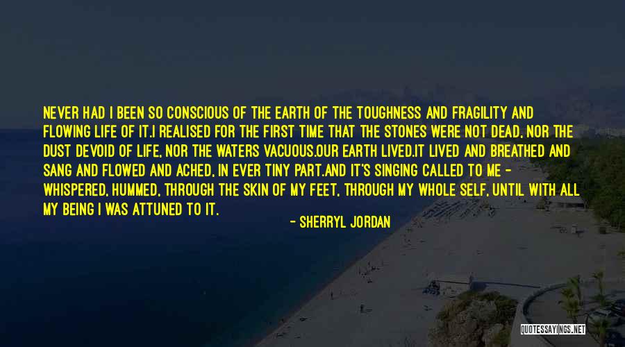 Stones And Life Quotes By Sherryl Jordan