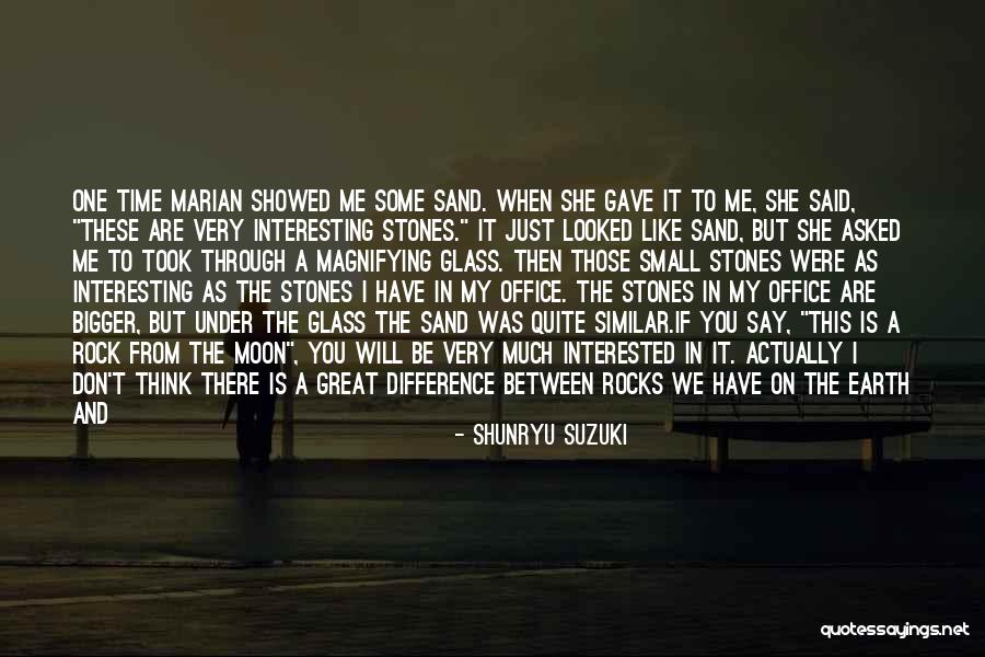 Stones And Life Quotes By Shunryu Suzuki