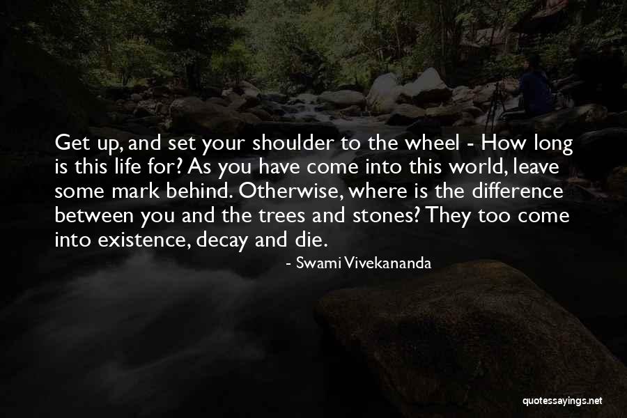 Stones And Life Quotes By Swami Vivekananda