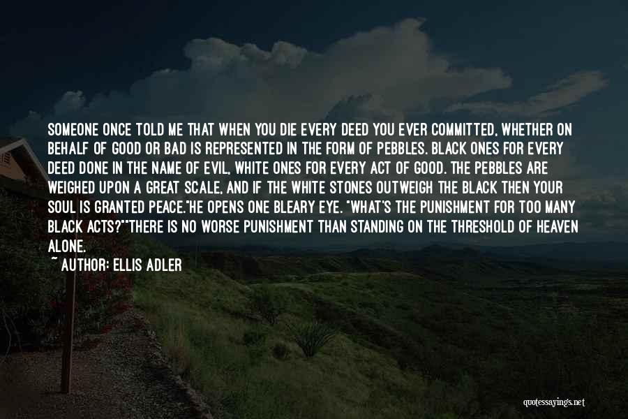 Stones And Pebbles Quotes By Ellis Adler