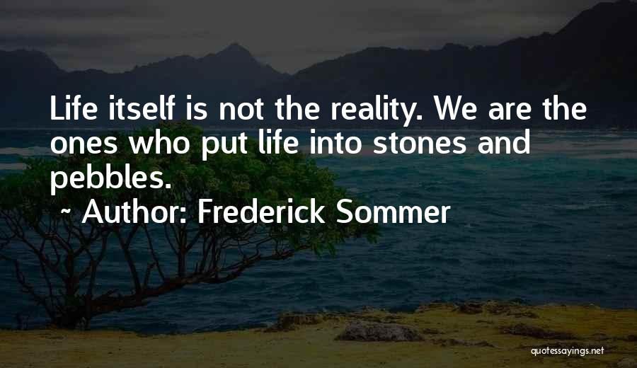 Stones And Pebbles Quotes By Frederick Sommer
