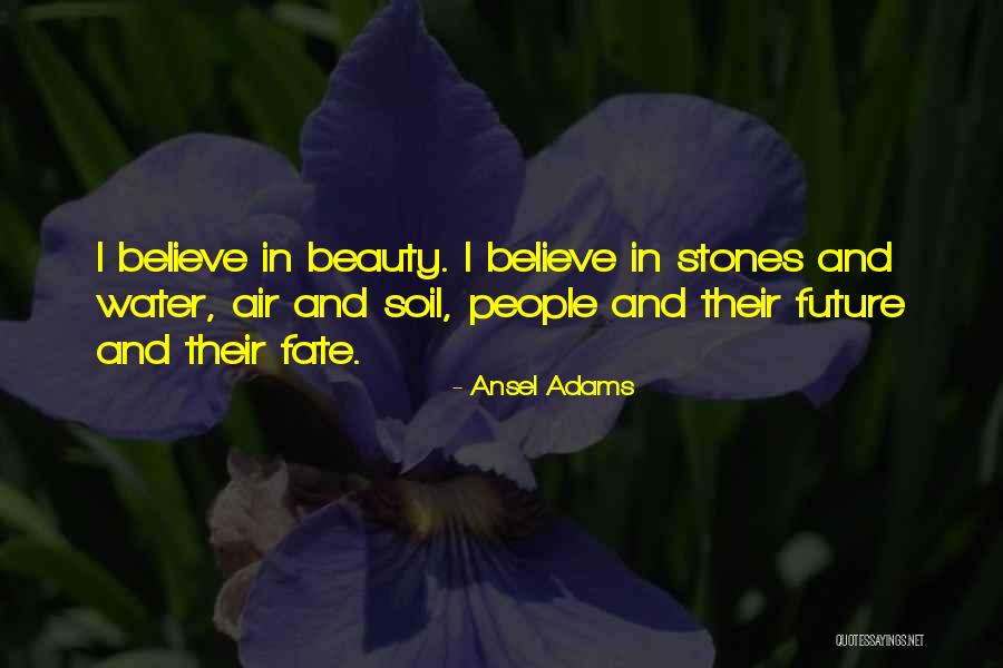 Stones In Water Quotes By Ansel Adams