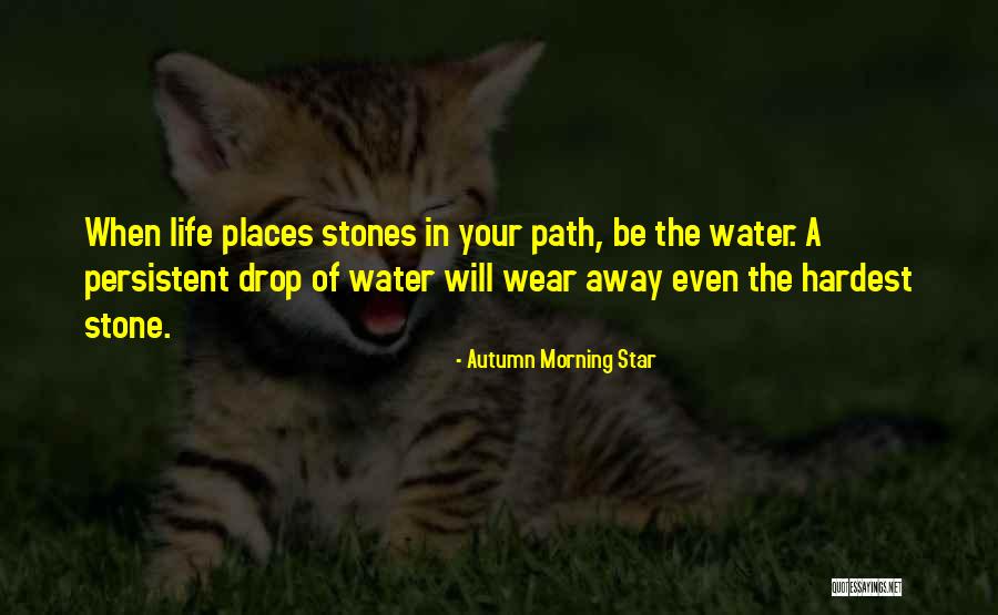 Stones In Water Quotes By Autumn Morning Star