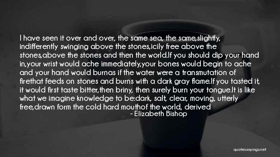 Stones In Water Quotes By Elizabeth Bishop