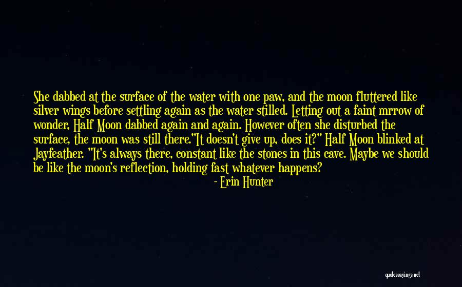 Stones In Water Quotes By Erin Hunter